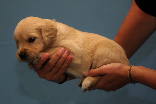 Mrs Black Wo 5_2.jpg